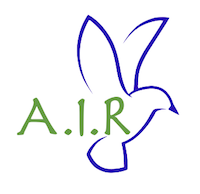 air-shop-logo-anxiety-in-reverse
